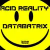 Datamatrix - Acid Reality - Single